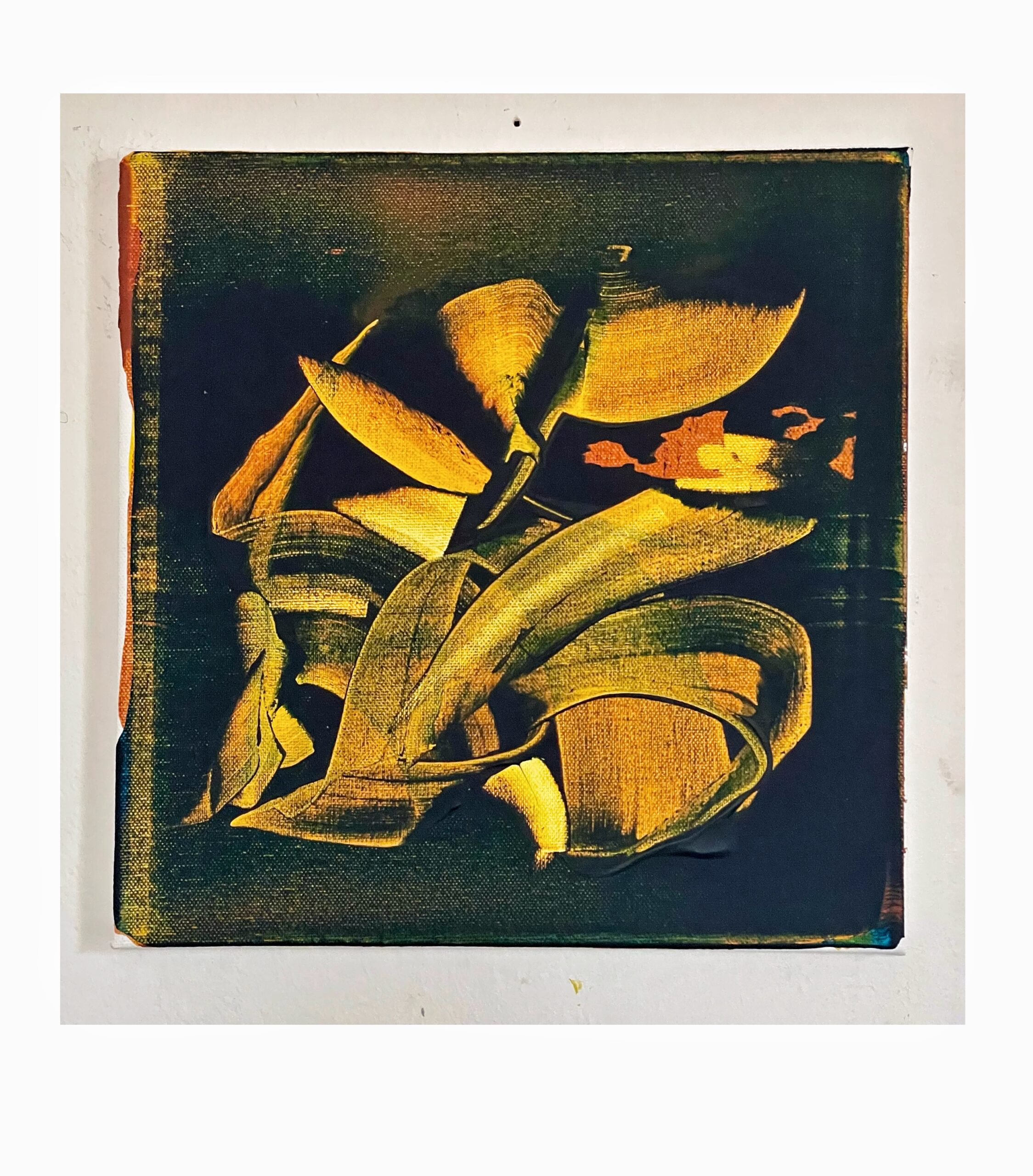 Franck Alasseur Peinture